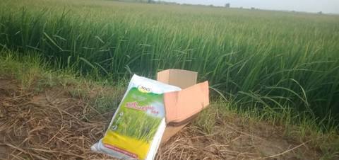 SACI Sadan bag delivered at the field