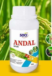 Andal
